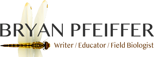 Bryan Pfeiffer logo