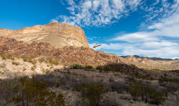 In this wide-angle shot, the arrow points to a Crissal Thrasher at Big Bend National Park on Feb 17. Honest!